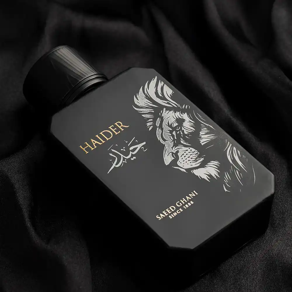 Haider - Image 3